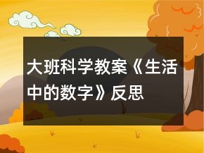 大班科学教案《生活中的数字》反思