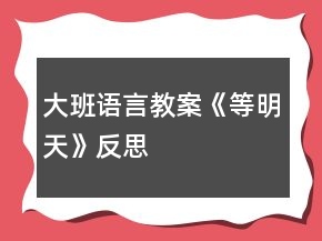 大班语言教案《等明天》反思
