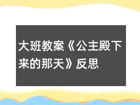 大班教案《公主殿下来的那天》反思