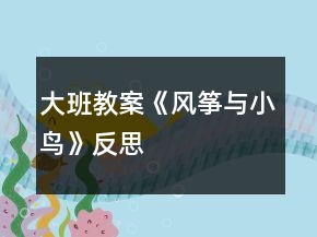 大班教案《风筝与小鸟》反思