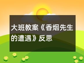 大班教案《香烟先生的遭遇》反思