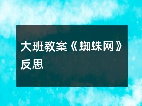 大班教案《蜘蛛网》反思