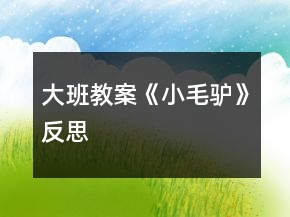 大班教案《小毛驴》反思