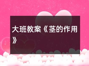 大班教案《茎的作用》