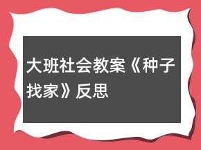 大班社会教案《种子找家》反思