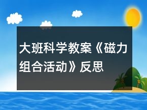 大班科学教案《磁力组合活动》反思