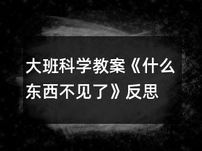 大班科学教案《什么东西不见了》反思