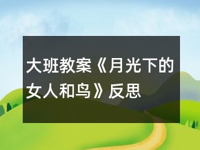 大班教案《月光下的女人和鸟》反思