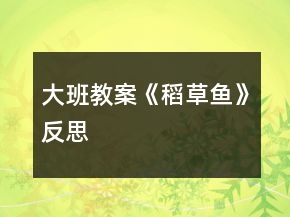 大班教案《稻草鱼》反思