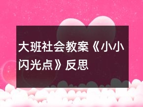 大班社会教案《小小“闪光点”》反思
