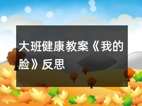 大班健康教案《我的脸》反思
