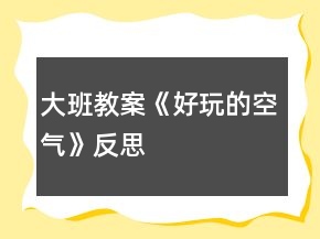 大班教案《好玩的空气》反思