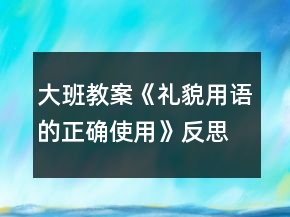大班教案《礼貌用语的正确使用》反思