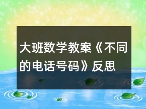 大班数学教案《不同的电话号码》反思