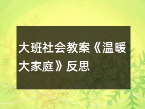 大班社会教案《温暖大家庭》反思