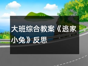 大班综合教案《逃家小兔》反思