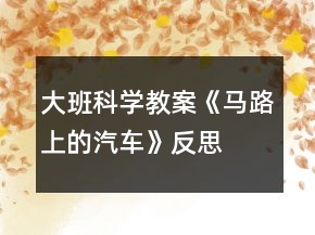 大班科学教案《马路上的汽车》反思