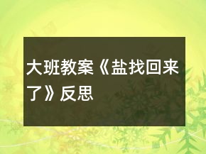 大班教案《盐找回来了》反思