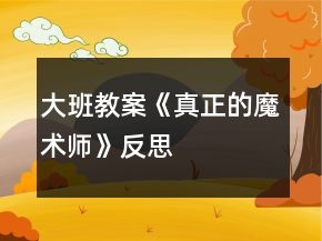 大班教案《真正的魔术师》反思