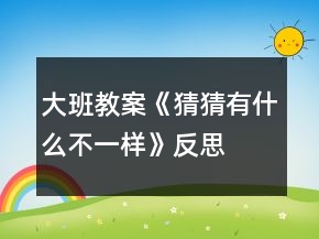 大班教案《猜猜有什么不一样》反思