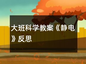 大班科学教案《静电》反思