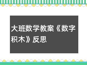 大班数学教案《数字积木》反思