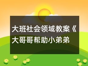 大班社会领域教案《大哥哥帮助小弟弟》反思