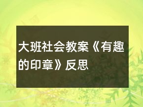 大班社会教案《有趣的印章》反思