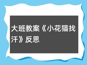 大班教案《小花猫找汗》反思