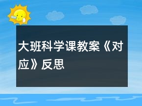 大班科学课教案《对应》反思