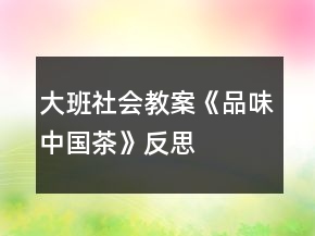 大班社会教案《品味中国茶》反思