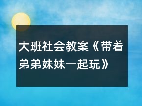大班社会教案《带着弟弟妹妹一起玩》反思