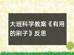 大班科学教案《有用的刷子》反思