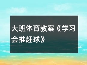大班体育教案《学习会推赶球》