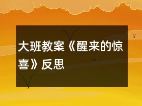 大班教案《醒来的惊喜》反思