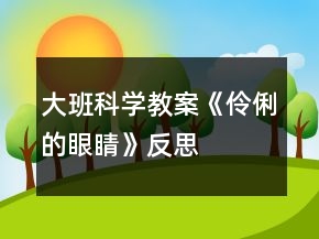 大班科学教案《伶俐的眼睛》反思