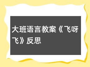 大班语言教案《飞呀飞》反思