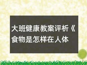 大班健康教案评析《食物是怎样在人体旅行的》反思