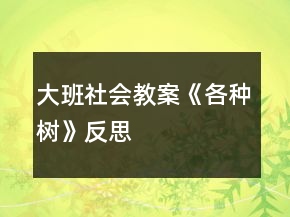 大班社会教案《各种树》反思