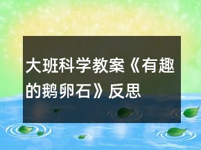 大班科学教案《有趣的鹅卵石》反思