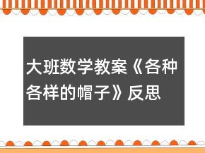 大班数学教案《各种各样的帽子》反思
