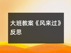 大班教案《风来过》反思