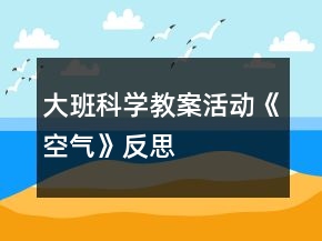 大班科学教案活动《空气》反思