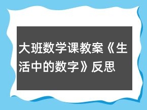 大班数学课教案《生活中的数字》反思