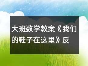 大班数学教案《我们的鞋子在这里》反思