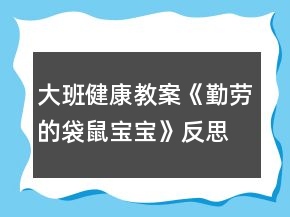 大班健康教案《勤劳的袋鼠宝宝》反思