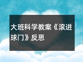 大班科学教案《滚进球门》反思