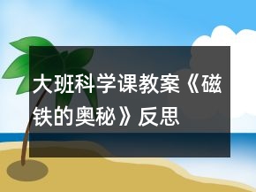 大班科学课教案《磁铁的奥秘》反思