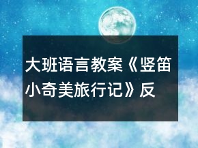 大班语言教案《竖笛小奇美旅行记》反思
