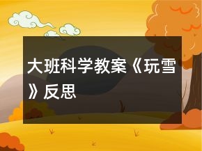 大班科学教案《玩雪》反思